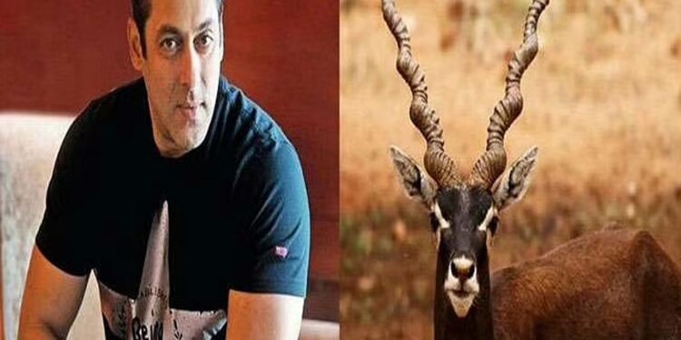 काला हिरण शिकार मामला : सुनवाई के लिए कोर्ट में पेश नहीं हुए सलमान खान