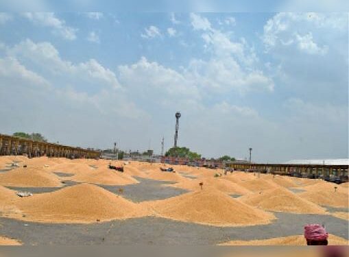 मोदी जी बुलंदशहर में सस्ते में खुली मंडियों पर गेहूं बेच रहा है अन्नदाता?