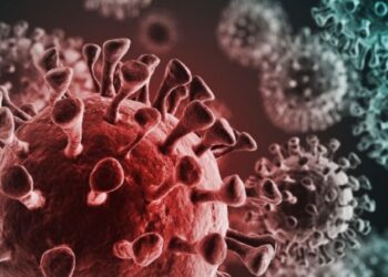 कोरोना संकट : बोलिविया ने ब्राजील से लगी सीमा के बंद को एक सप्ताह के बढ़ाया