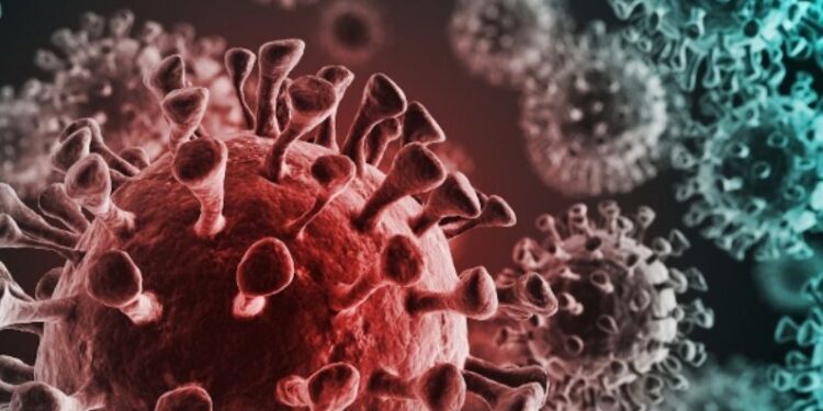 कोरोना संकट : बोलिविया ने ब्राजील से लगी सीमा के बंद को एक सप्ताह के बढ़ाया