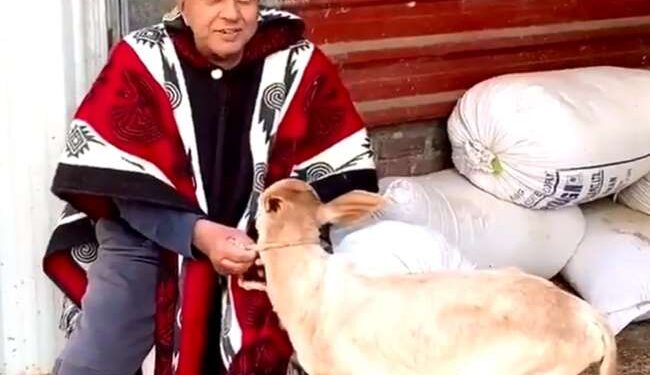 कोरोना की खबर सुनकर उदास हो जाते हैं : धर्मेंद्र