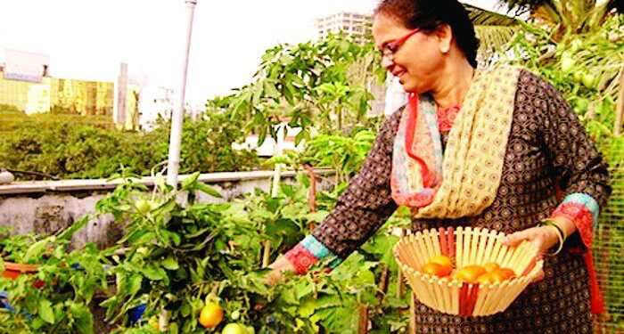 मऊ में कोरोना काल में बढ़ा किचन गार्डन का चलन