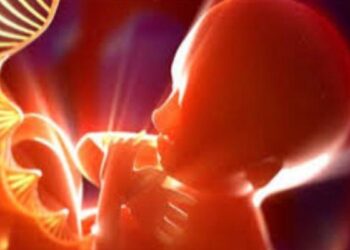 ज्यादातर बच्चों को माता-पिता से मिलती है थैलेसीमिया की बीमारी