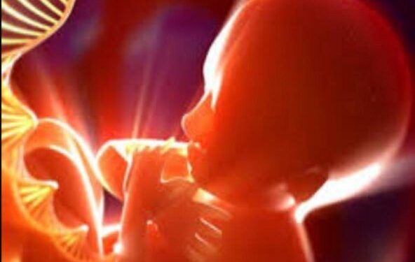 ज्यादातर बच्चों को माता-पिता से मिलती है थैलेसीमिया की बीमारी