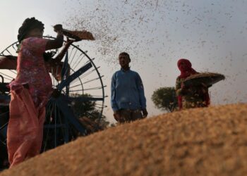 महंगाई के अनुपात में समर्थन मूल्य में वृद्धि करे सरकार : संघर्ष समन्वय समिति