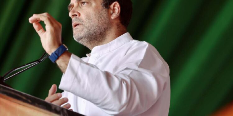 निडर होकर जवाब देने वाले को दीजिए वोट: राहुल गांधी