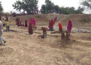 बेरोजगारी, मनरेगा और सरकार