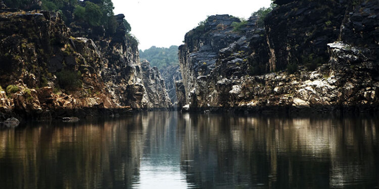 उनके पुरखों की नदी है नर्मदा
