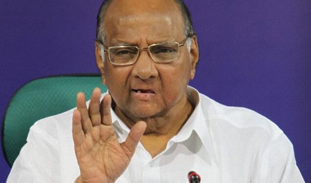 UP Assembly Election Results: अखिलेश ने लड़ी बढ़िया लड़ाई: शरद पवार