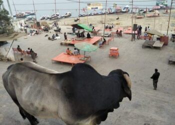 बनारस: अस्सीघाट, मरना एक संस्कृति का