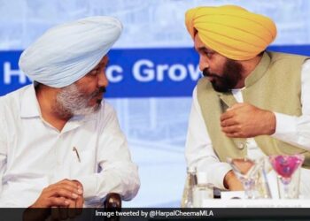 मान सरकार में मंत्री चीमा का बीजेपी पर बड़ा आरोप, कहा सरकार गिराने की कोशिश कर रही BJP