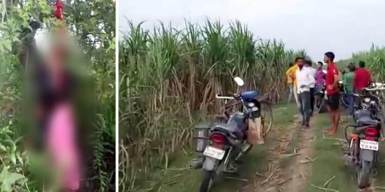लखीमपुर में पेड पर लटके मिले 2 सगी बहनों के शव, मचा हंगामा