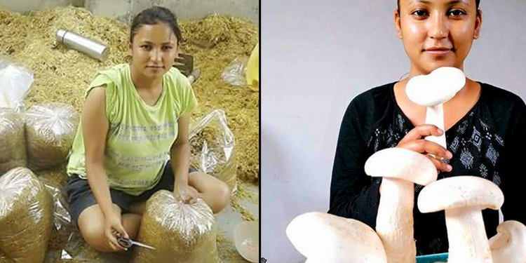 गाँवों से पलायन रोकने के लिए नौकरी छोड़ शुरू की मशरूम की खेती, 5 करोड़ से अधिक है आय