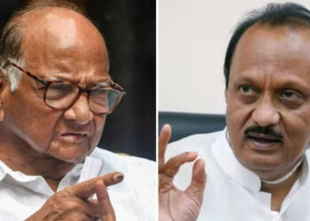 मेरे फोटो का इस्तेमाल सिर्फ मेरी पार्टी ही कर सकती है: शरद पवार