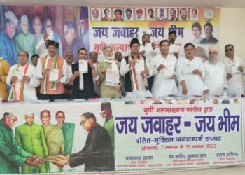 जय जवाहर-जय भीम नारे के साथ दलितों को जोड़ेगी अल्पसंख्यक कांग्रेस: शाहनवाज़ आलम