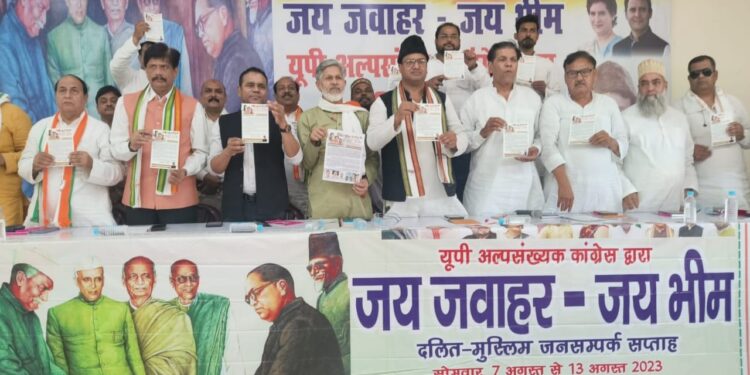 जय जवाहर-जय भीम नारे के साथ दलितों को जोड़ेगी अल्पसंख्यक कांग्रेस: शाहनवाज़ आलम