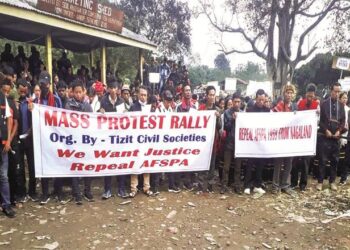 ناگالینڈ: امیت شاہ کے متنازع بیان کیخلاف زبردست احتجاج