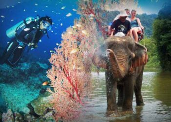 انڈمان : تمام سیاحتی مقامات بند