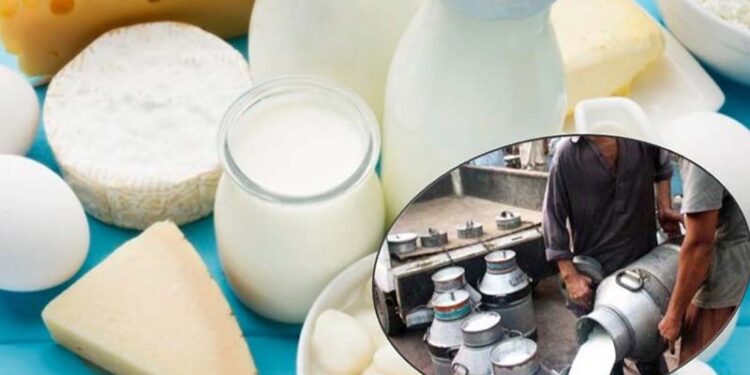 دودھ کی ڈیری پر چھاپہ، بھاری مقدار میں ملاوٹ شدہ دودھ اور پنیر بنانے کا سامان ضبط