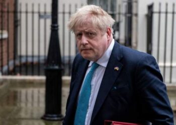 شہریوں پر حملہ کرنے والے آوارہ کتوں کو گولی مارنے کا وقت آگیا: روسی صدر