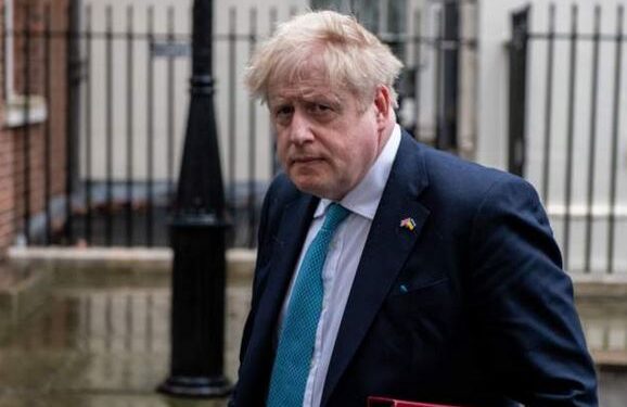 شہریوں پر حملہ کرنے والے آوارہ کتوں کو گولی مارنے کا وقت آگیا: روسی صدر