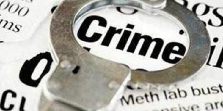 بلندشہر:ذہنی معذور شخص کے حملے میں 2کی موت،5زخمی