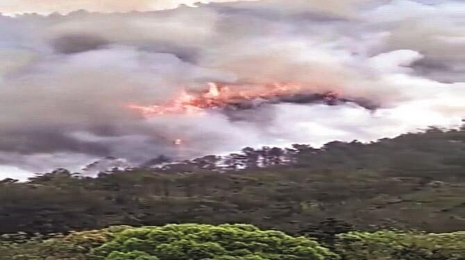 چین میں بھیانک طیارہ حادثہ، ۱۳۲؍ افراد سوار تھے، کسی کے بچنے کی اُمید کم