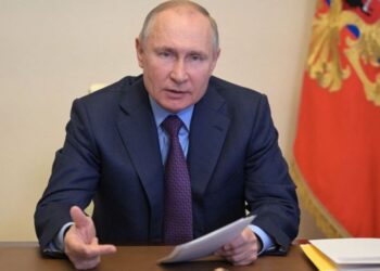 شہریوں پر حملہ کرنے والے آوارہ کتوں کو گولی مارنے کا وقت آگیا: روسی صدر