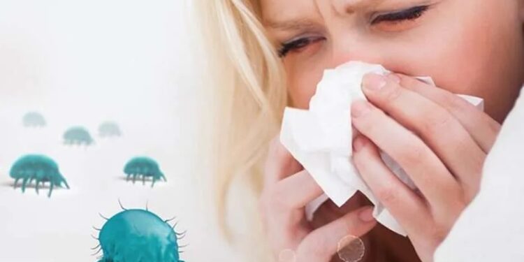 الرجی کیا ہے اور اس سے کیسے محفوظ رہ سکتے ہیں؟