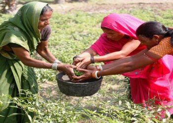 مہلک محبت اور سماج پر اس کے مضر اثرات