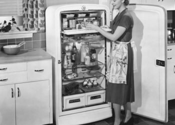 ماضی میں جب فریج نہ ہوتا تھا تو لوگ کیسے کھانے پینے کی چیزیں محفوظ رکھتے تھے؟