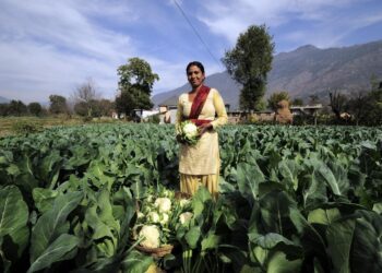 قدرتی طریقے پر زراعت کے لیے ایک کروڑ کسانوں کی مدد کی تجویز