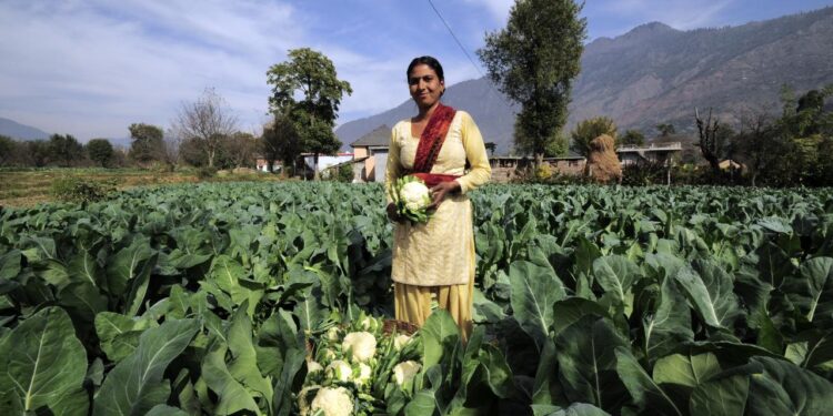 قدرتی طریقے پر زراعت کے لیے ایک کروڑ کسانوں کی مدد کی تجویز