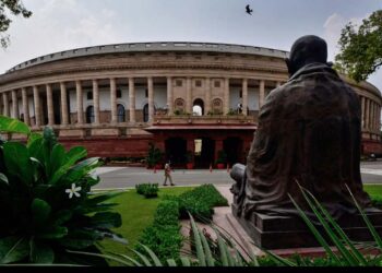 نئے اقتصادی نظام کی جمہوریت