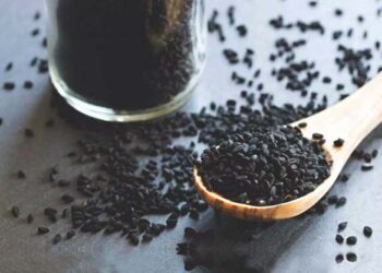 کلونجی: دینی اور سائنسی جائزہ