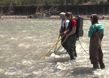 چھوٹی ندیوں کا تحفظ بھی ضروری