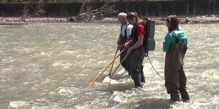 چھوٹی ندیوں کا تحفظ بھی ضروری