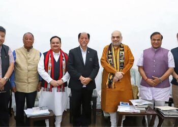 ناگالینڈ سے ساری دنیا سیکھے