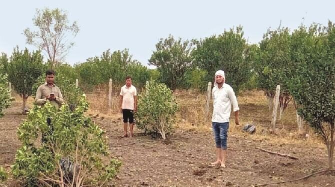 ریاست میں پھر بے موسم برسات، ژالہ باری، فصلیں تباہ