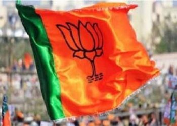 بی جے پی نے دو مسلمانوں کو قومی نائب صدر بنایا