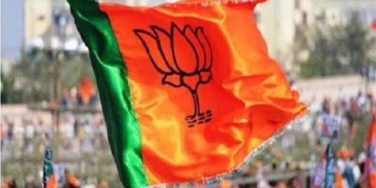 بی جے پی نے دو مسلمانوں کو قومی نائب صدر بنایا