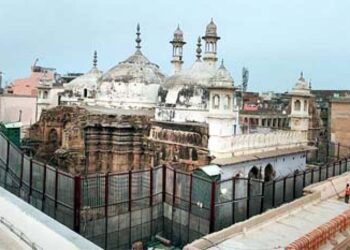 صرف مسجدوں کا ہی سروے کیوں؟