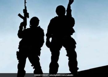 بھارت کے لئے دہشت گردی کا خطرہ: اسد مرزا