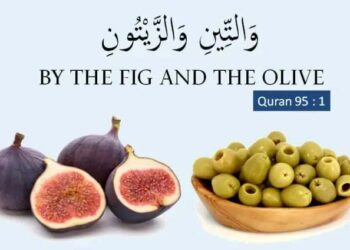 دینی اور سائنسی جائزہ: ڈاکٹر محمد اقتدار حسین فاروقی