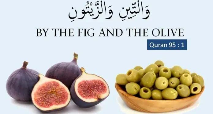 دینی اور سائنسی جائزہ: ڈاکٹر محمد اقتدار حسین فاروقی