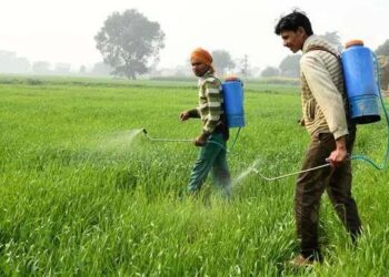 پانی، زمین اور عوام کیلئے خطرہ بنتی کیڑے مار ادویات