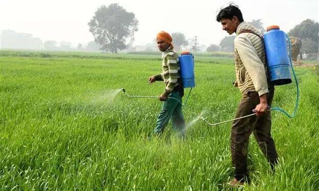 پانی، زمین اور عوام کیلئے خطرہ بنتی کیڑے مار ادویات