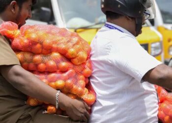 اب ٹماٹر ایک اہم ایشو: پروفیسر عتیق احمدفاروقی