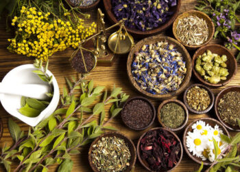 روایتی اَدویات کا قدیم مرکز ہے ہندوستان