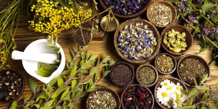 روایتی اَدویات کا قدیم مرکز ہے ہندوستان